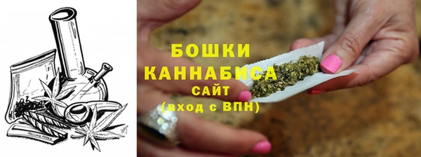 ГАЛЛЮЦИНОГЕННЫЕ ГРИБЫ Белокуриха