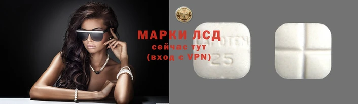 ГАЛЛЮЦИНОГЕННЫЕ ГРИБЫ Белокуриха