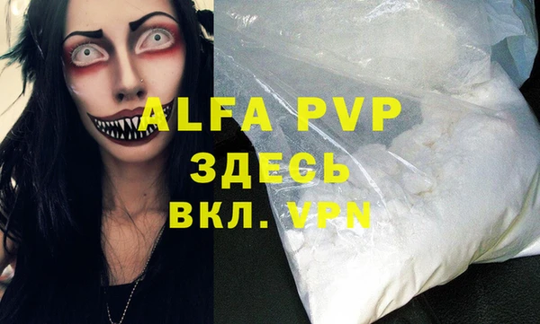 ГАЛЛЮЦИНОГЕННЫЕ ГРИБЫ Белокуриха
