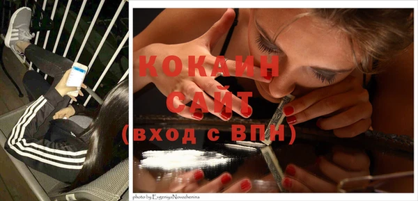 ГАЛЛЮЦИНОГЕННЫЕ ГРИБЫ Белокуриха